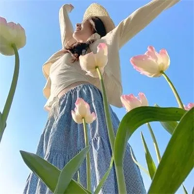 极致遗憾纯爱《秒速5厘米》：樱花掉落的速度是每秒五厘米，那我要用怎样的速度才能与你相遇